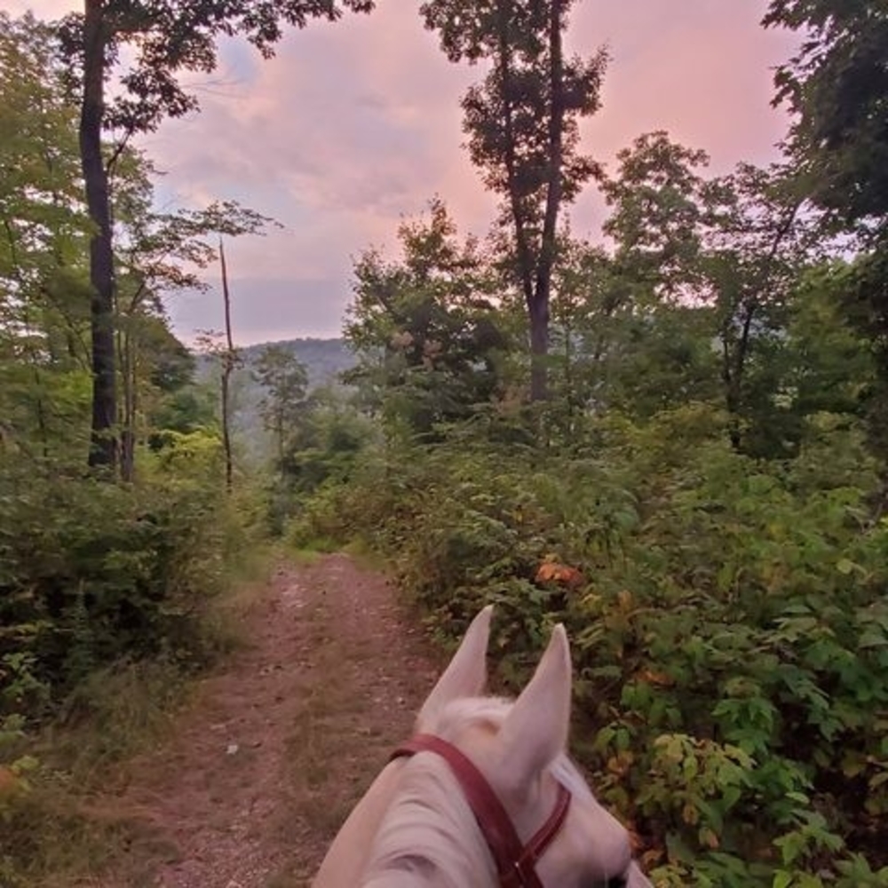 Meet your Posher, Kristi